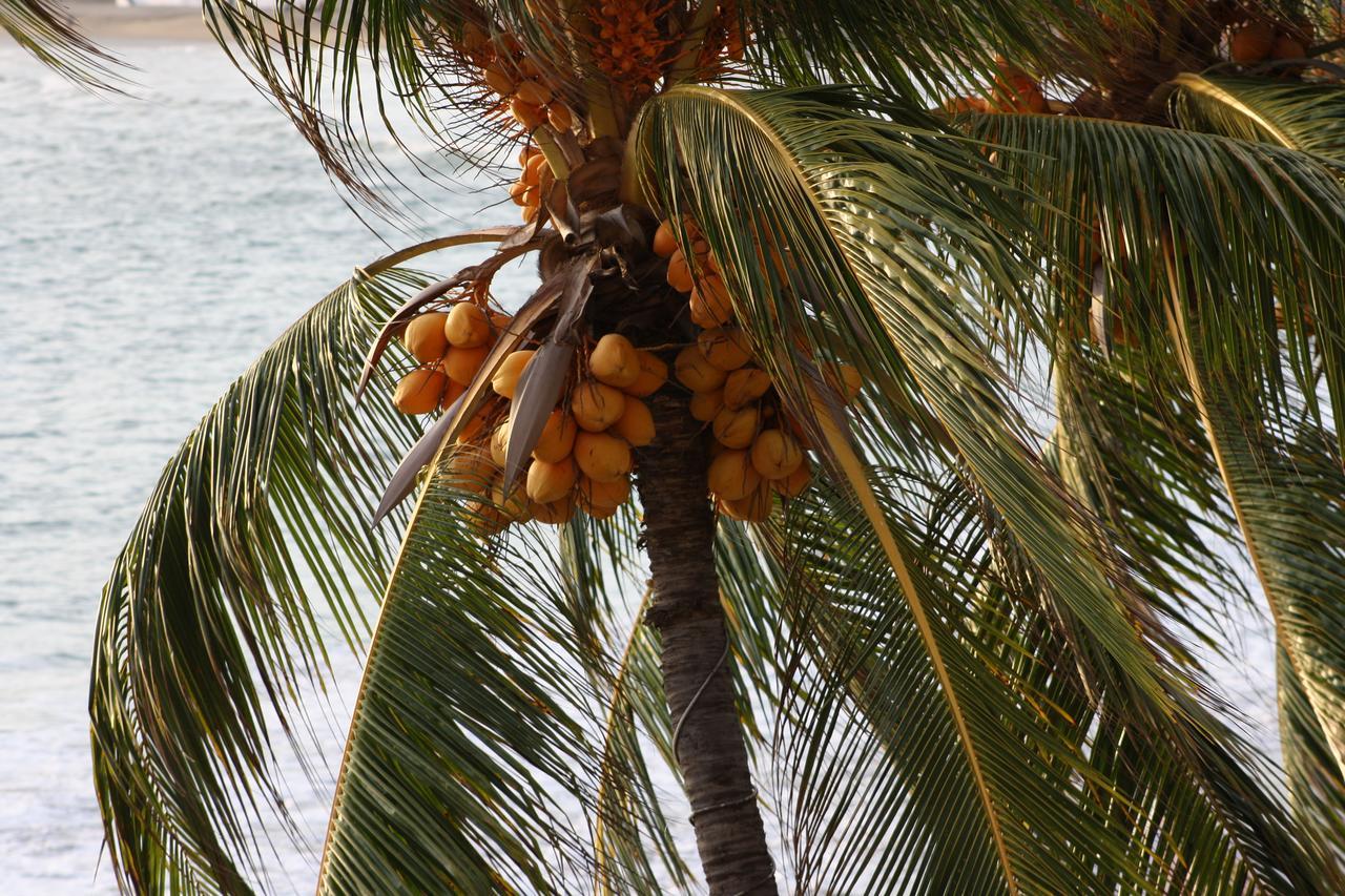 Playa De Santiago Hotell Manzanillo Eksteriør bilde
